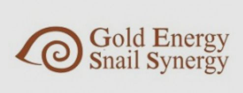 Gold Energy Snail Synergy